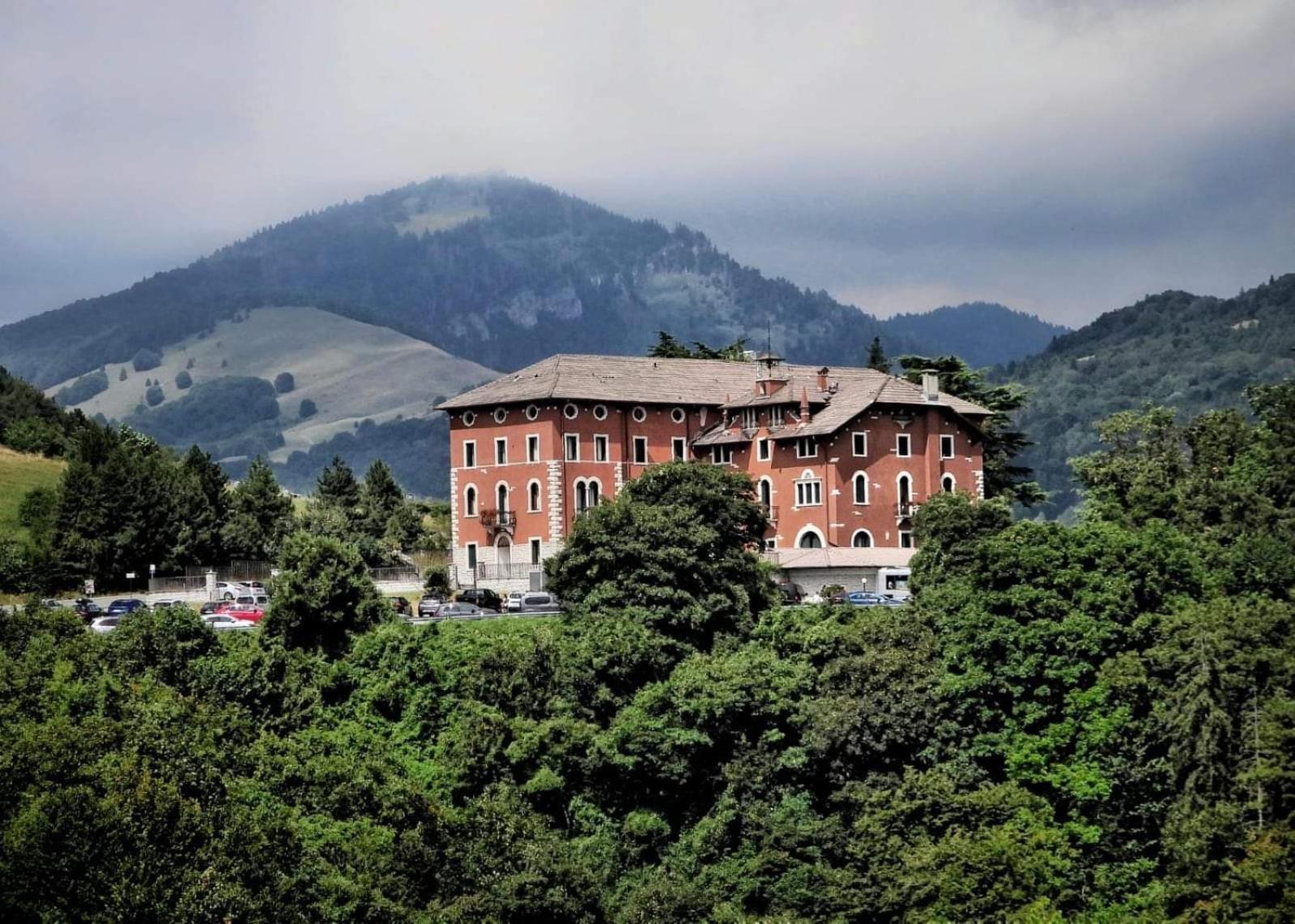 Stella Alpina